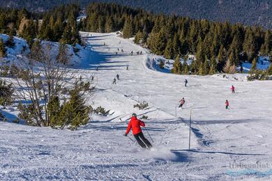 Campitello di Fassa