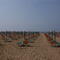 Bibione