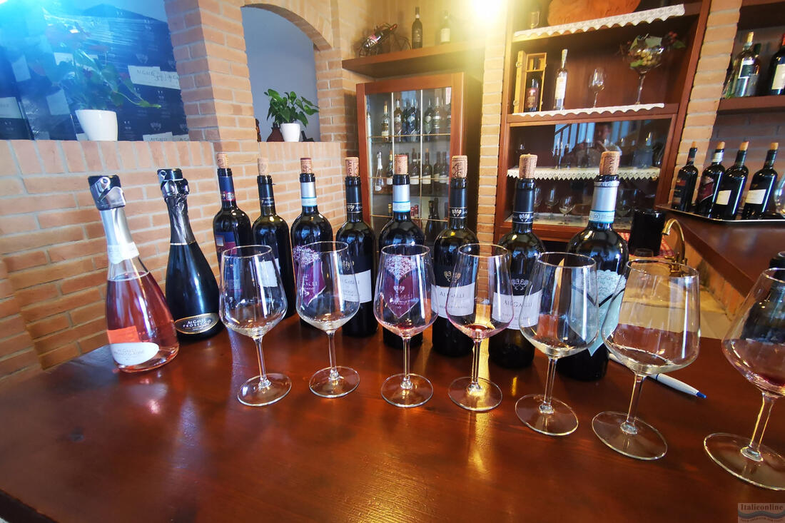 Ai Galli Pramaggio wine tasting