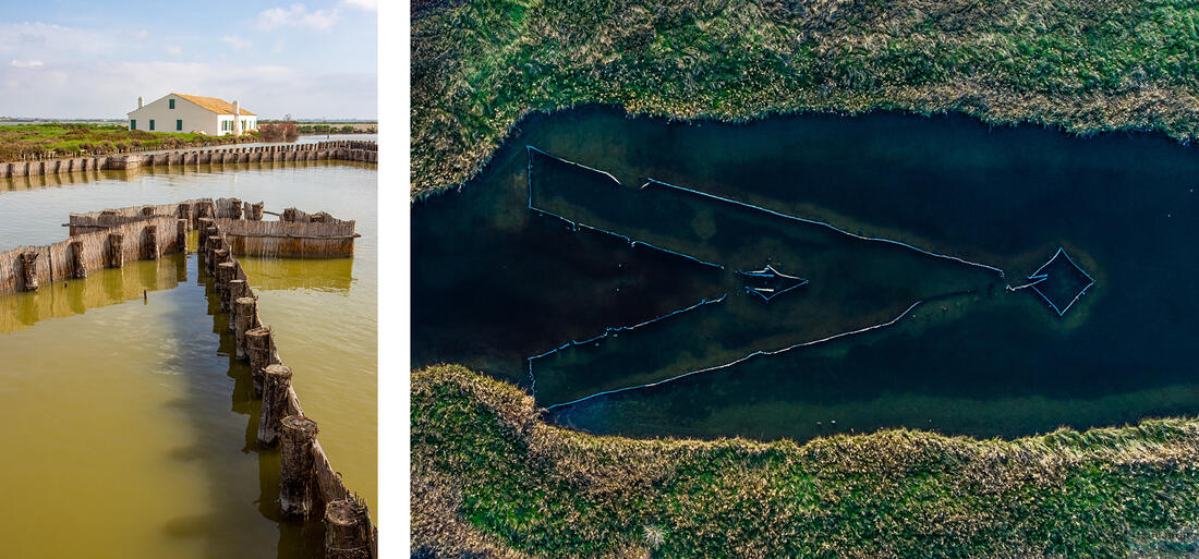 Comacchio – pasti na úhoře