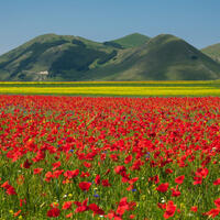 Umbria