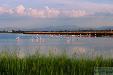 Cervia: sůl, slunce a tradice