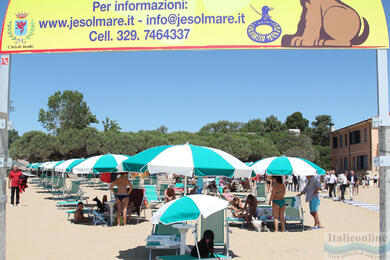 Psí pláž Bau Bau Beach Jesolo