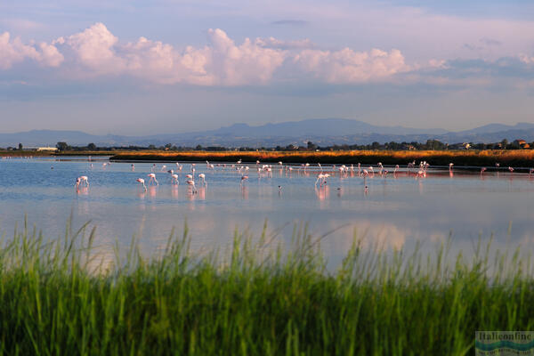 Cervia: sůl, slunce a tradice