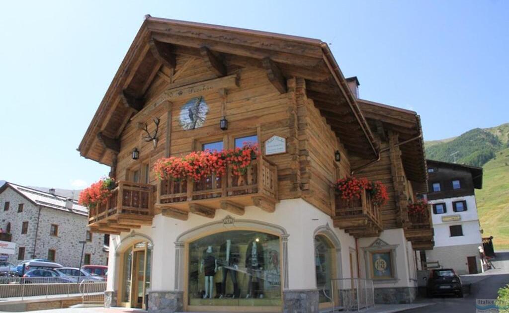 Freeski Chalet Picchio