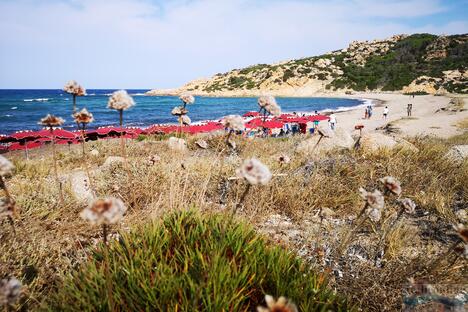 Club Esse Gallura Beach Village