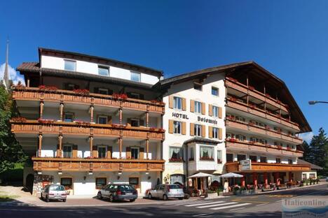 Hotel Dolomiti Sèn Jan di Fassa